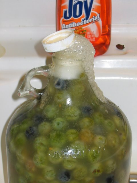 bottle_ferment